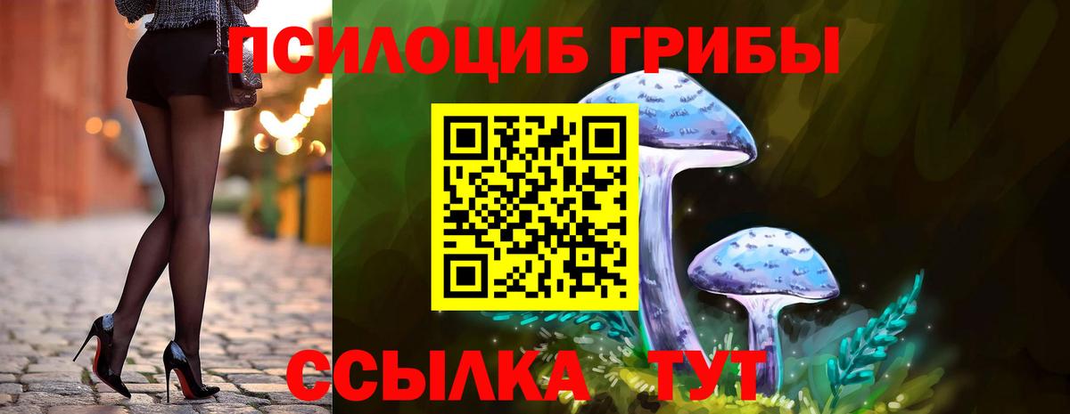 Галлюциногенные грибы GOLDEN TEACHER Балаково